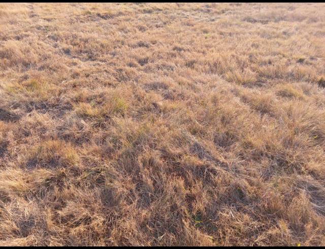 4HA VACANT LAND FOR SALE IN WITHOK ESTATE